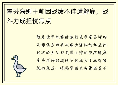 霍芬海姆主帅因战绩不佳遭解雇，战斗力成担忧焦点