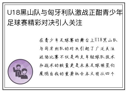U18黑山队与匈牙利队激战正酣青少年足球赛精彩对决引人关注