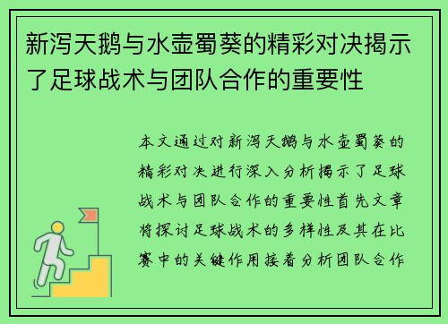 新泻天鹅与水壶蜀葵的精彩对决揭示了足球战术与团队合作的重要性