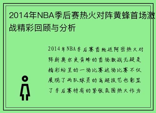 2014年NBA季后赛热火对阵黄蜂首场激战精彩回顾与分析