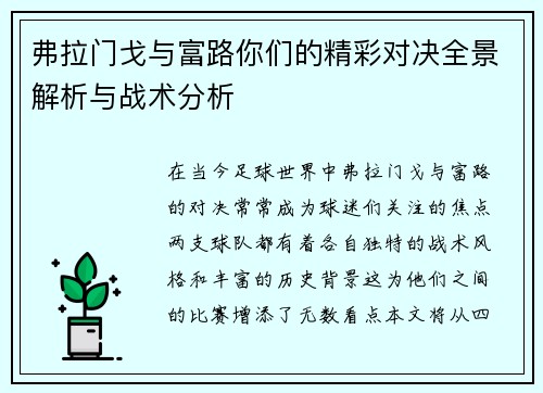 弗拉门戈与富路你们的精彩对决全景解析与战术分析