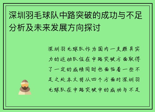 深圳羽毛球队中路突破的成功与不足分析及未来发展方向探讨