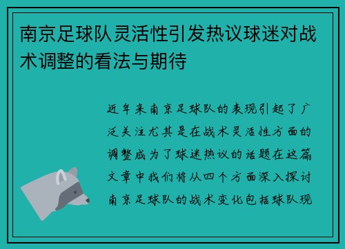 南京足球队灵活性引发热议球迷对战术调整的看法与期待