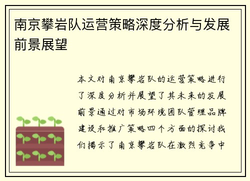 南京攀岩队运营策略深度分析与发展前景展望